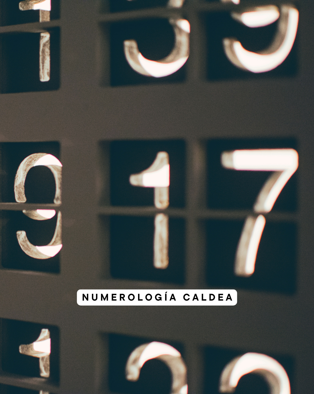 Lectura de Numerología