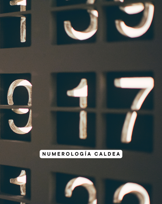 Lectura de Numerología